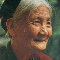 Vú