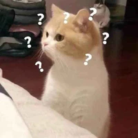 Dịt khi mới nghỉ 1ngày và học toán:]]