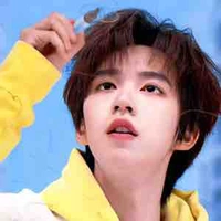 Hạ Tuấn Lâm