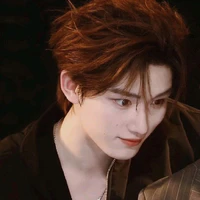 Đinh Trình Hâm 
