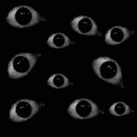 Mr.Eyes