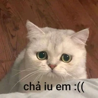 meow meow pút // tác giả //