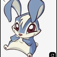 Kiko