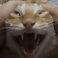 mọi nhân vật phụ