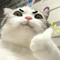 huhasi (hệ thống 201)