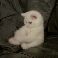 Hăm like khóc huhu !:>