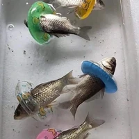 Ẩn tý lát hiện