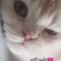 T/G