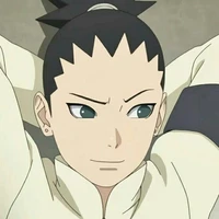 Nara Shikadai