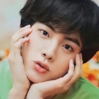 kim seokjin ( mẹ của chị và cô)