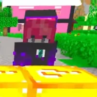 hiha enderman