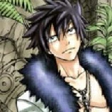 Gray Fullbuster