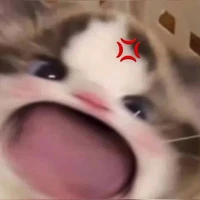 tgia cuti