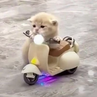 Tg_Ờ Thì Tất Cả Là T Sai🤧💔