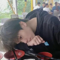 Nguyễn Thanh Lâm_(Zép bào)