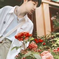 Trương Trạch Vũ