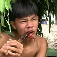 minh thoại 