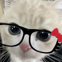 TG khùng điên