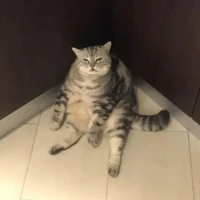 Tác giả buồn đời😭