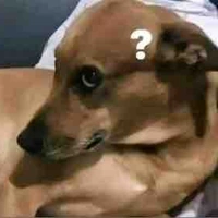 con tg hay bị trĩ🤡