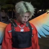 Nguyễn Quang Anh (rái đơ)