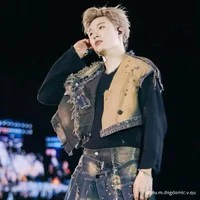 Dương Domic