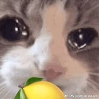 ᴀᴜᴛʜᴏʀ xɪɴʜ ɢᴇ́ɪ