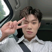 dương domic