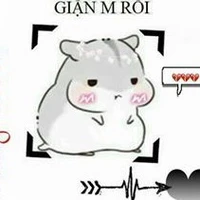 hệ thống 004 - A Hoàn