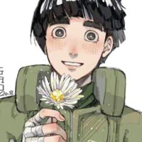 rock lee