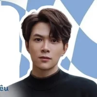 bùi anh tú ( anh tú atus)