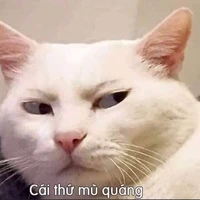 me( tác giả)