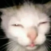 Tôi Mỗi Ngày Hít Quá Nhiều Hint Từ Otp