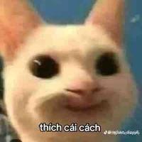 T/g
