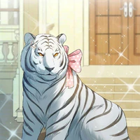 Tsuki Liam