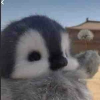 Hệ thống vô định