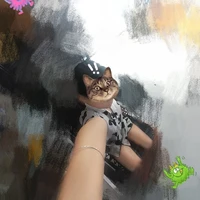 Ca_vangg(chủ truyện)