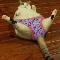 T/g người đẹp chai dìm