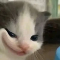 Người quyết định số phận của nhân vật