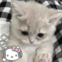All