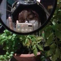 Linh sói đơn độc