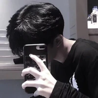 Việt Anh