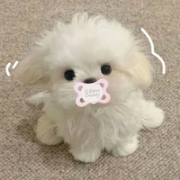 tớ là một cô nàng thư giãn