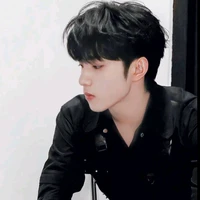 Lưu Diệu Văn(y/cậu)