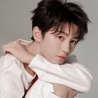 Vương Tuấn Khải ( papa cậu )