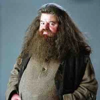 Rubeus Hagrid