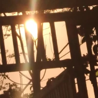 All(bao gồm:Suga,Daichi,Kage,Shoyo,...)