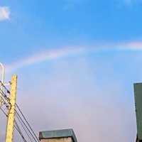 mọi người