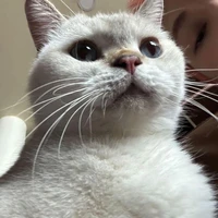 Tác giả đẹp trai