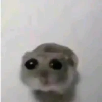 pet cưng của Tanner